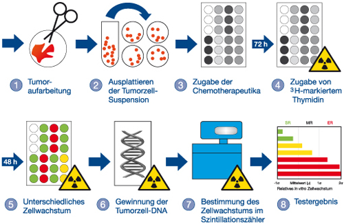 CTR-Test-Verfahren im Labor