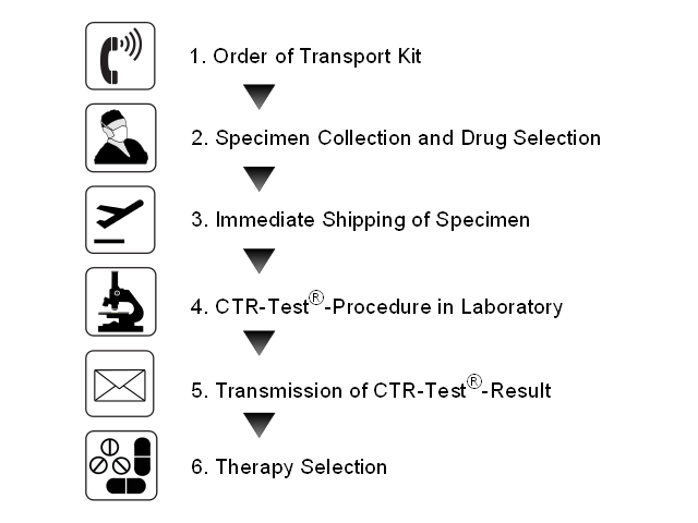 Process and Order of the CTR-Tests
